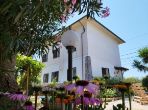 La Domus di Cosa Ansedonia
